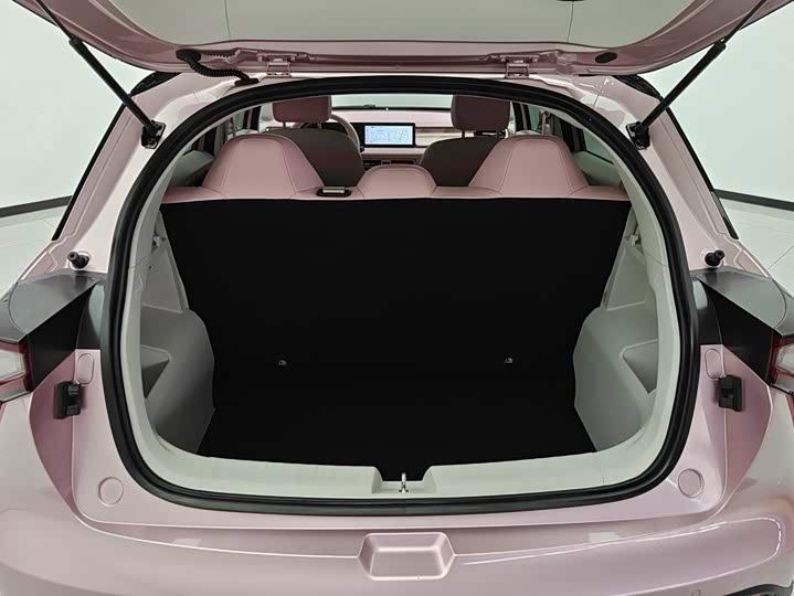 Geely Geometry E Firefly, 2023 — фото 4 из 9