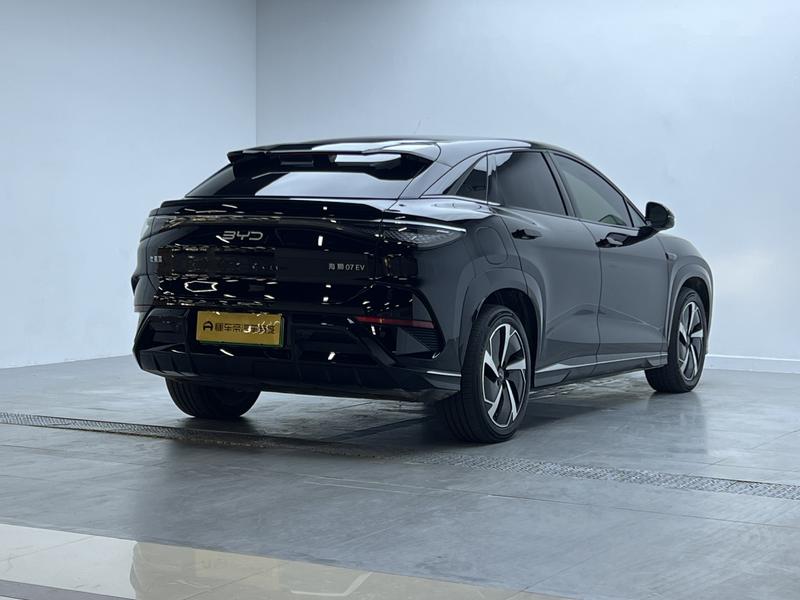 BYD Sea Lion 07 EV, 2024 — фото 7 из 12