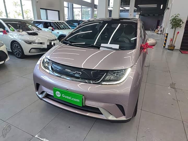 BYD Dolphin, 2022 — купить в Санкт-Петербурге под ключ