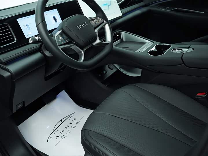 BYD Sea Lion 06 Hybrid/EV, 2025 — фото 8 из 9