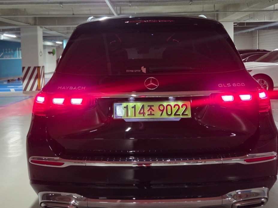 Mercedes-Benz GLS-Class, 2025 — фото 12 из 12