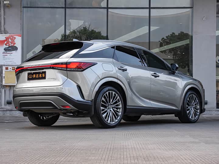 Lexus RX Hybrid, 2023 — фото 3 из 9