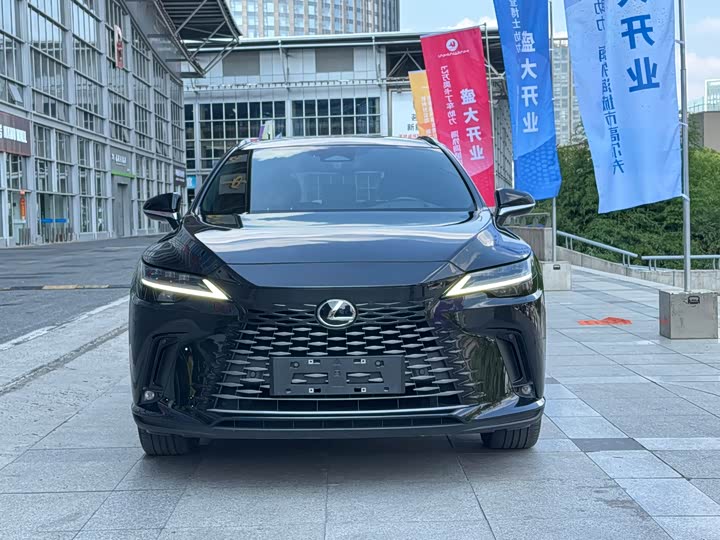 Lexus RX Hybrid, 2023 — фото 2 из 9
