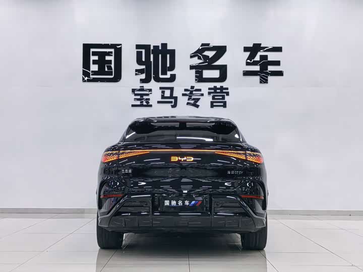 BYD Sea Lion 07 EV, 2024 — фото 5 из 9