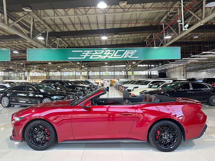 Ford Mustang, 2024 — фото 7 из 9