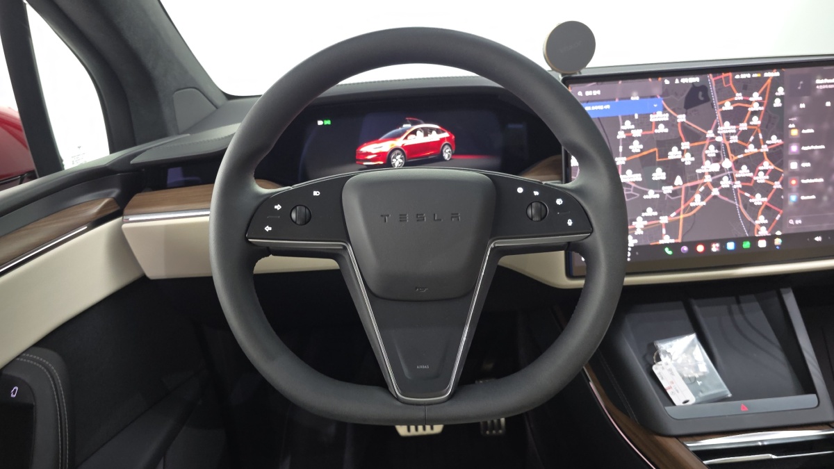 Tesla Model X, 2025 — фото 12 из 12