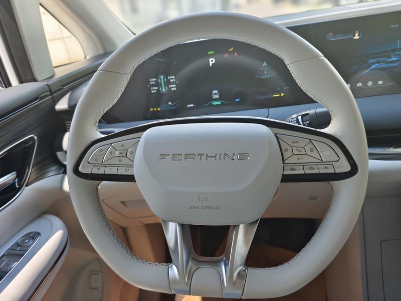 Dongfeng Forthing Xinghai V9, 2024 — фото 10 из 12