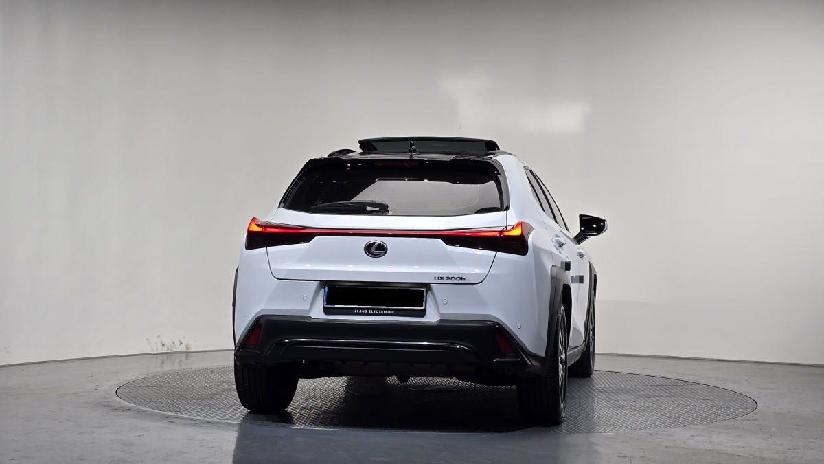 Lexus UX, 2024 — фото 4 из 12
