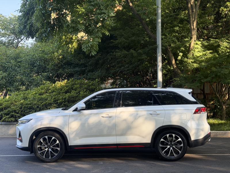 Changan Oshan X7 Plus, 2023 — фото 4 из 12