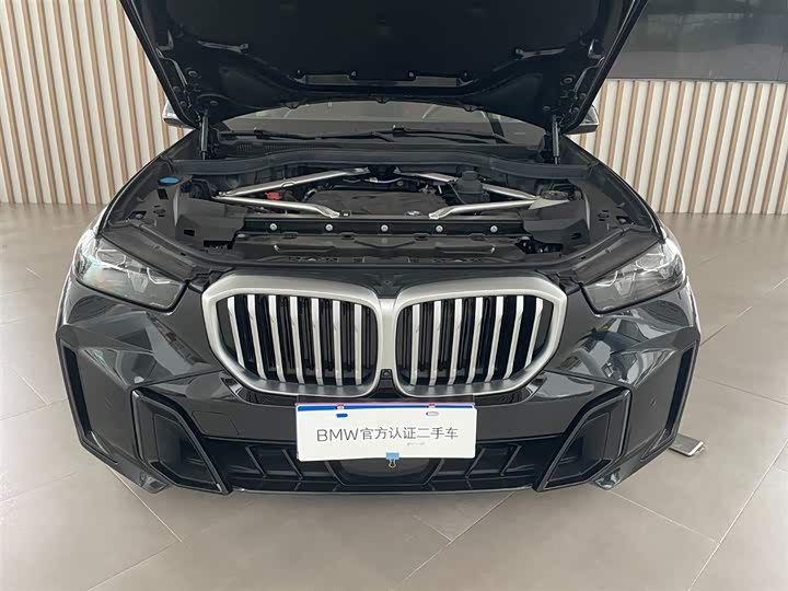BMW X5, 2024 — фото 7 из 9