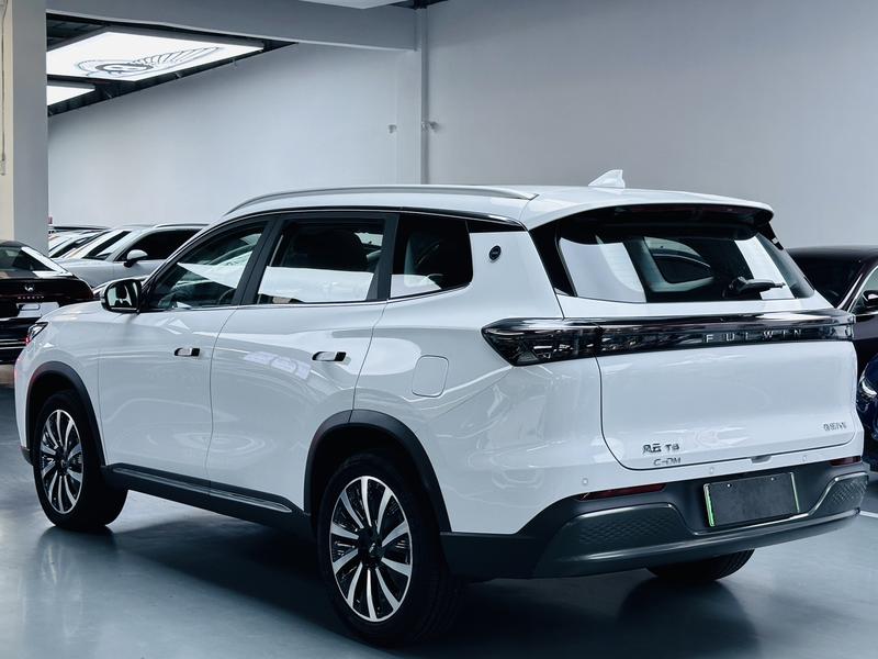 Chery Fulwin T8, 2025 — фото 5 из 12