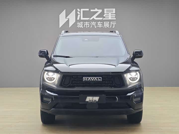 Haval H-Dog, 2024 — фото 4 из 9
