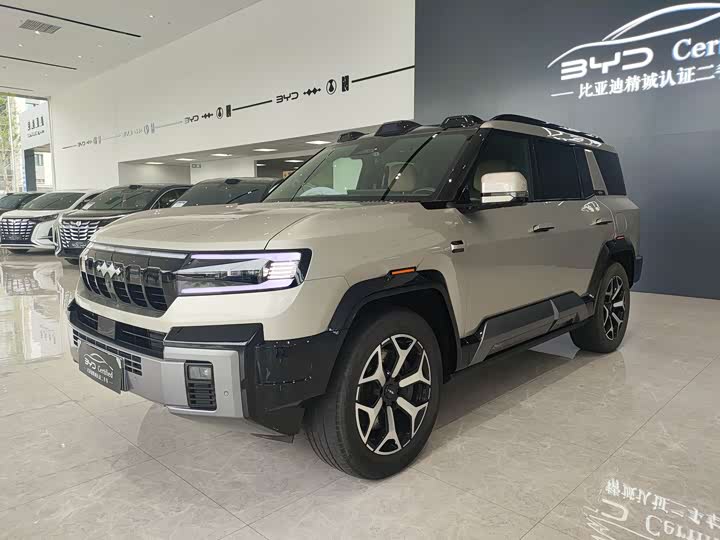 BYD FangChengBao Leopard 8, 2024 — купить в Смоленске под ключ