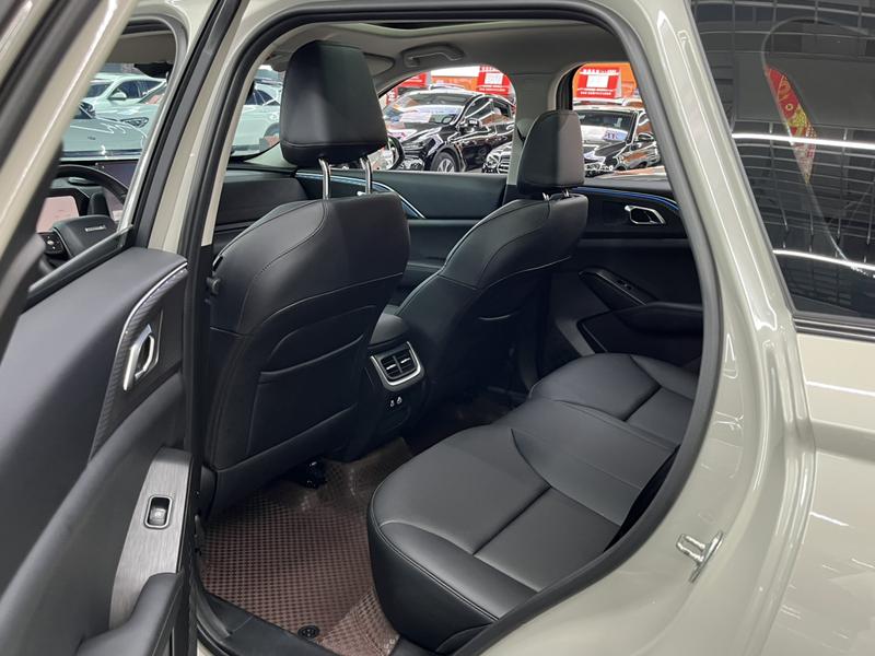 Haval Ruge Max, 2025 — фото 10 из 12