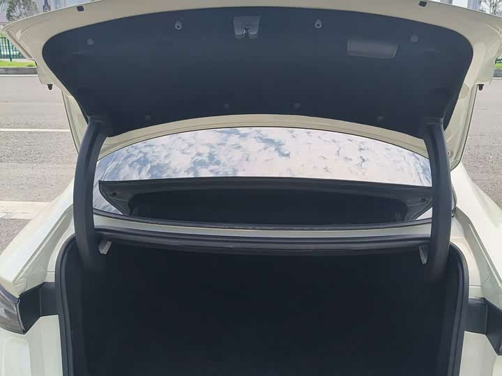BYD Seal 06 Hybrid/EV, 2024 — фото 8 из 9