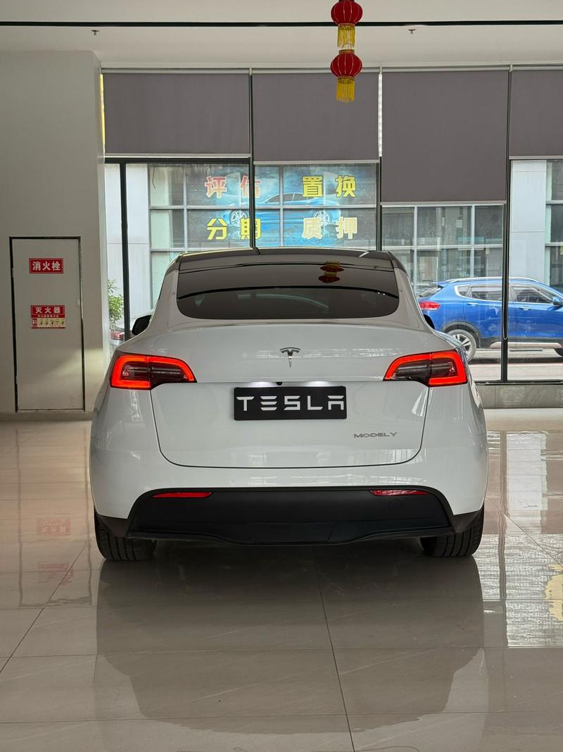 Tesla Model Y, 2022 — фото 5 из 10