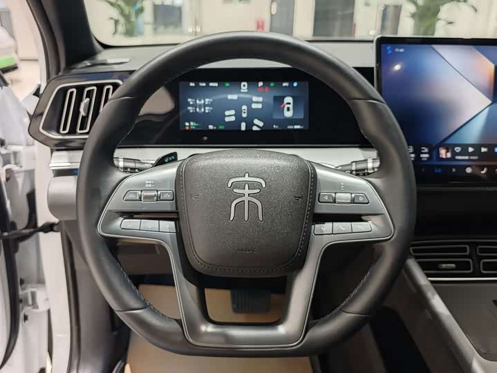 BYD Song Pro Hybrid, 2024 — фото 9 из 9