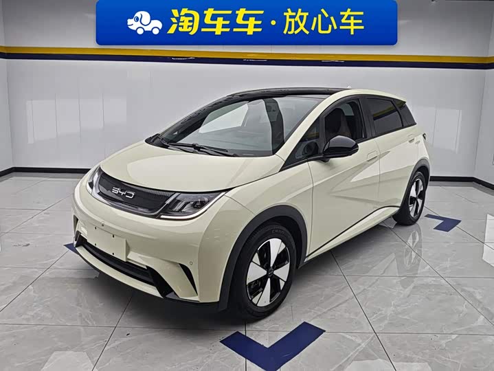 BYD Dolphin, 2023 — купить в Москве под ключ