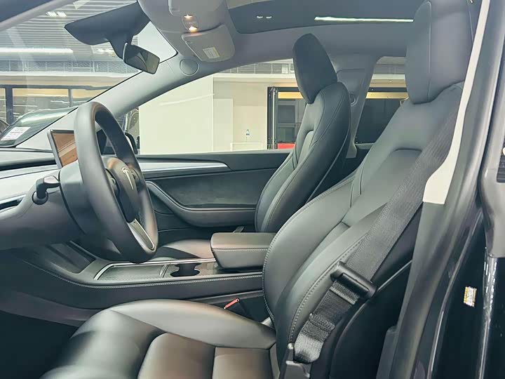 Tesla Model Y, 2024 — фото 5 из 9