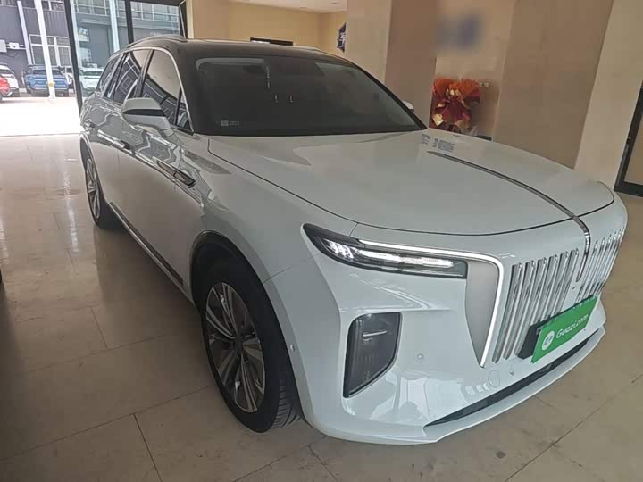 Hongqi E-HS9, 2023 — фото 4 из 9