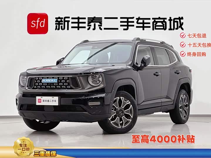 Haval H-Dog Hybrid, 2023 — купить в Рязани под ключ