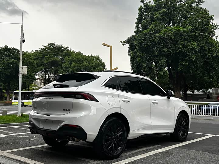 Dongfeng Forthing T5 EVO, 2022 — фото 6 из 9