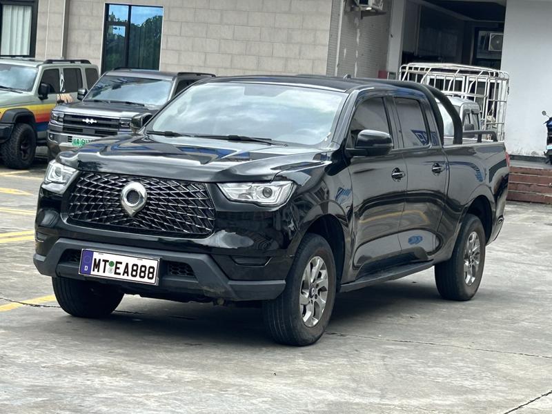 Great Wall Pao, 2022 — купить в Санкт-Петербурге под ключ