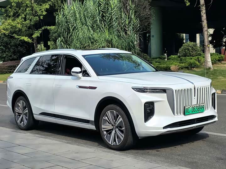 Hongqi E-HS9, 2022 — фото 3 из 9