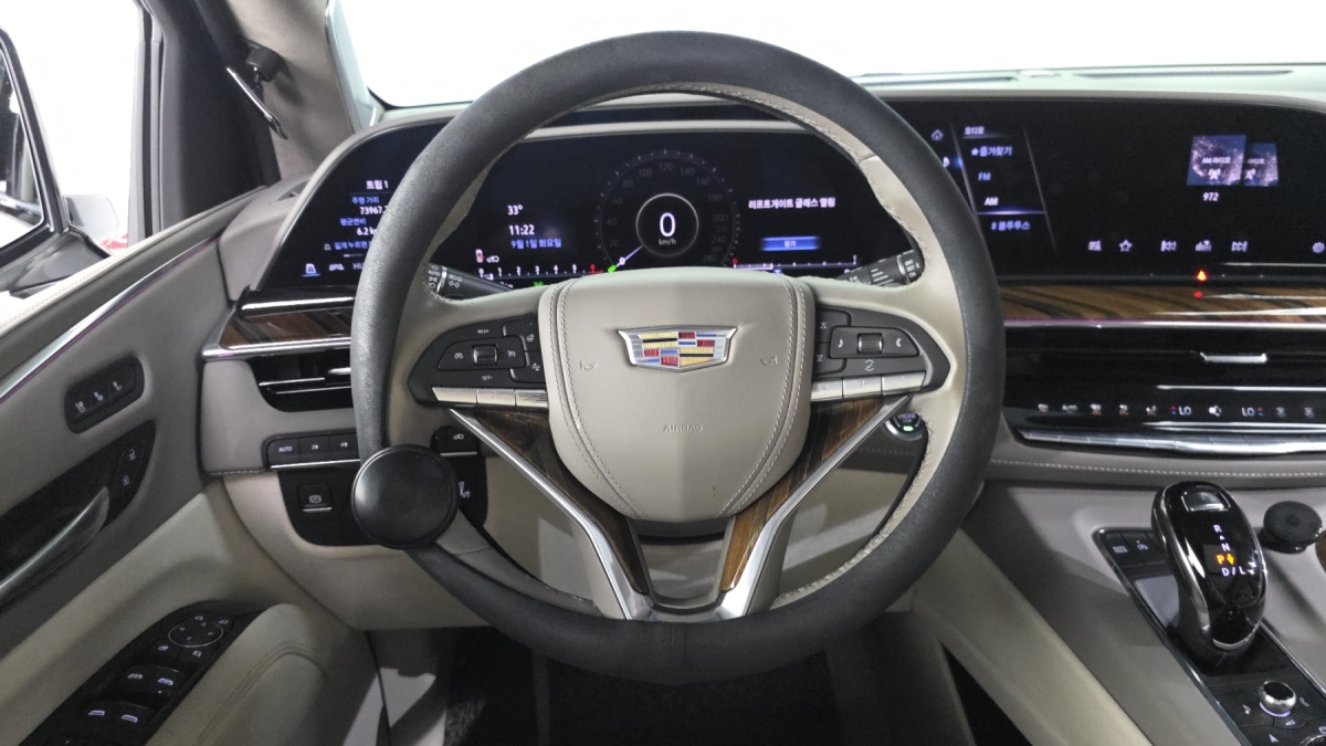 Cadillac Escalade, 2022 — фото 12 из 12