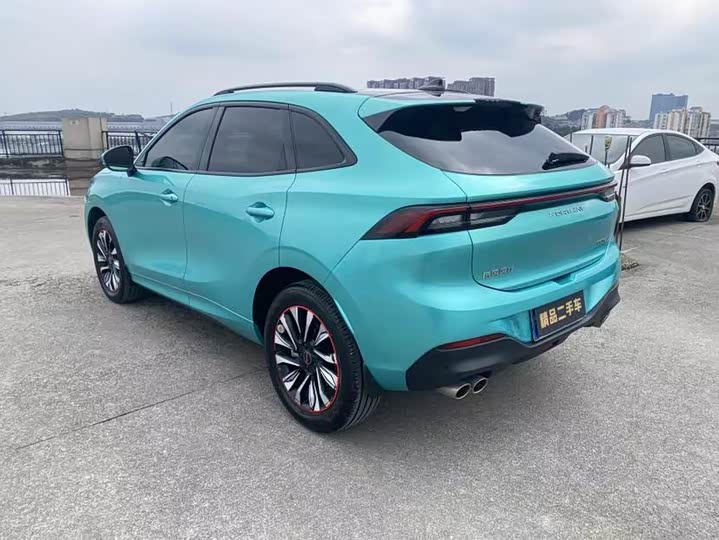 Dongfeng Forthing T5 EVO, 2022 — фото 8 из 9