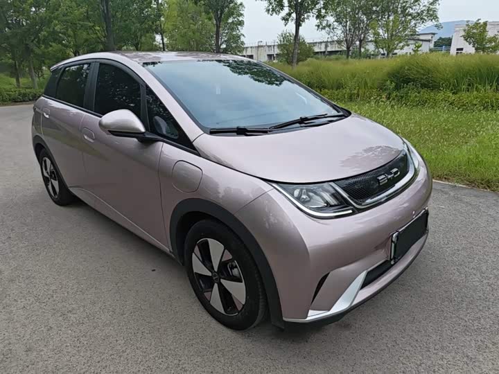 BYD Dolphin, 2023 — фото 4 из 9