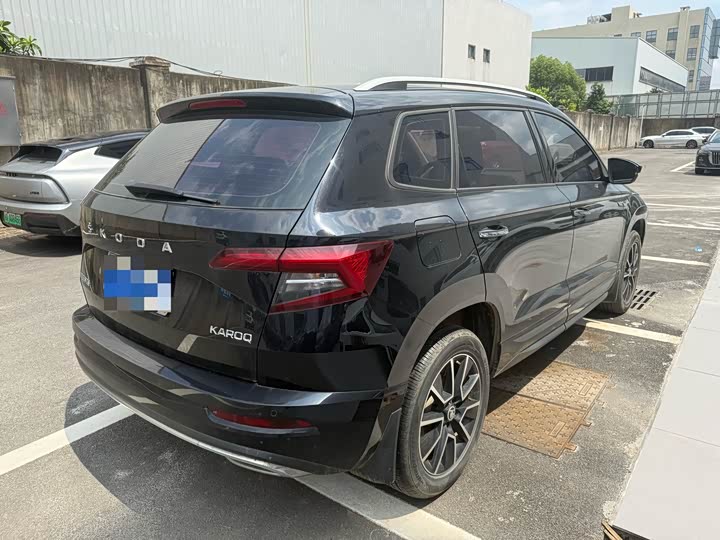 Skoda Karoq, 2021 — фото 9 из 9