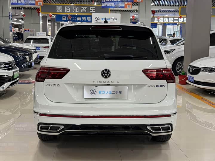 Volkswagen Tiguan L Hybrid, 2023 — фото 8 из 9