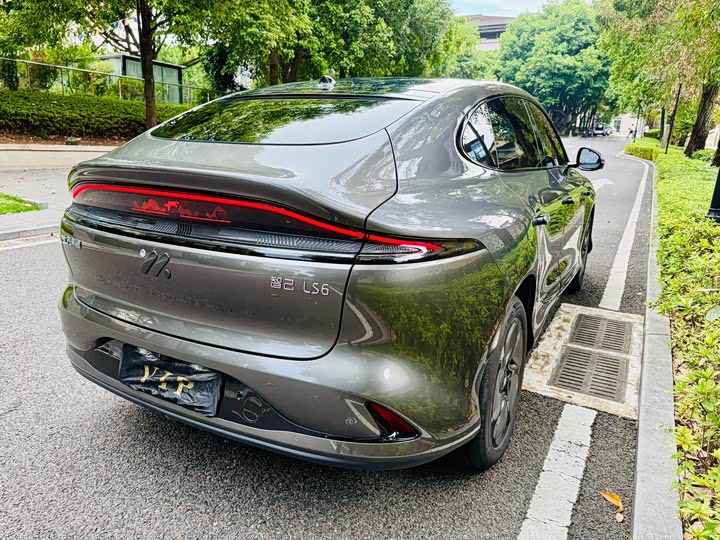IM motors LS6, 2024 — фото 7 из 9