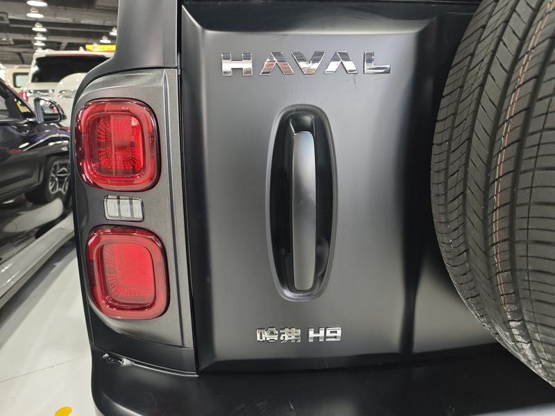 Haval H9, 2024 — фото 8 из 12