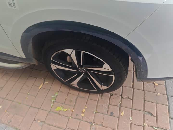 Roewe RX5 Max, 2023 — фото 6 из 9