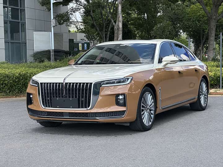 Hongqi H9, 2021 — купить в Самаре под ключ