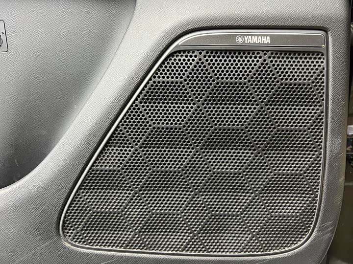 GAC Trumpchi E9, 2025 — фото 6 из 9