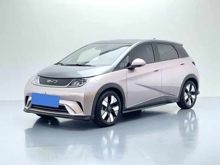 BYD Dolphin, 2021 — купить в Пензе под ключ