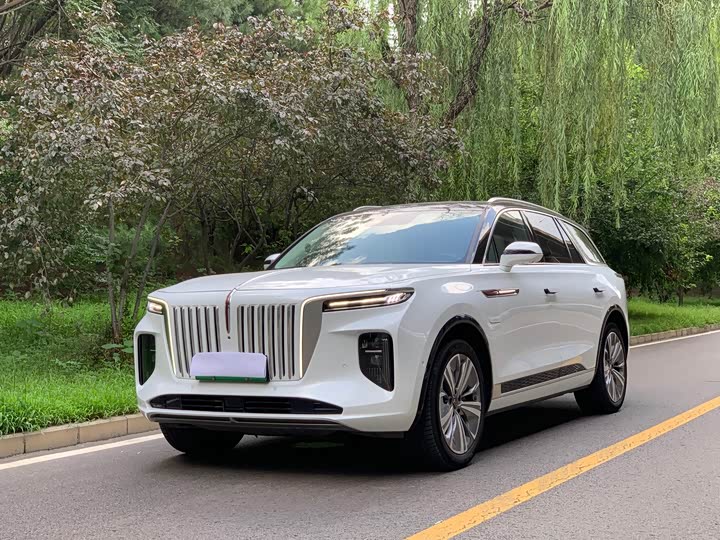 Hongqi E-HS9, 2023 — купить в Твери под ключ