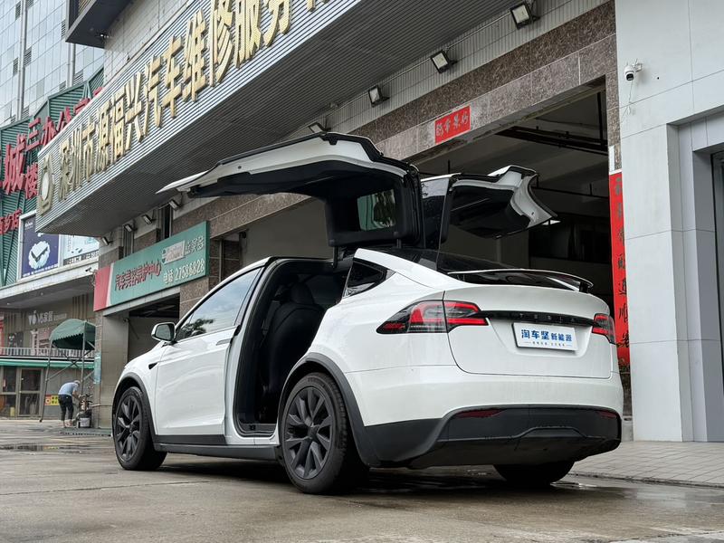 Tesla Model X, 2023 — фото 4 из 12