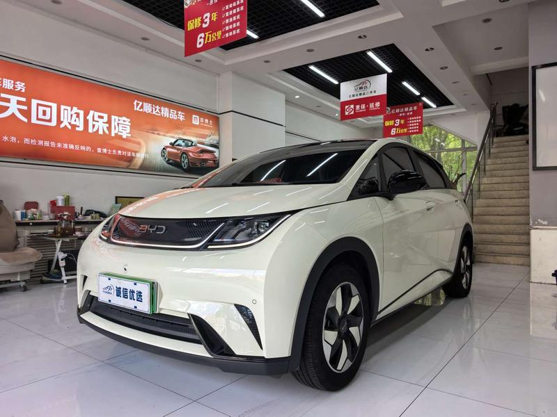BYD Dolphin, 2024 — купить в Санкт-Петербурге под ключ