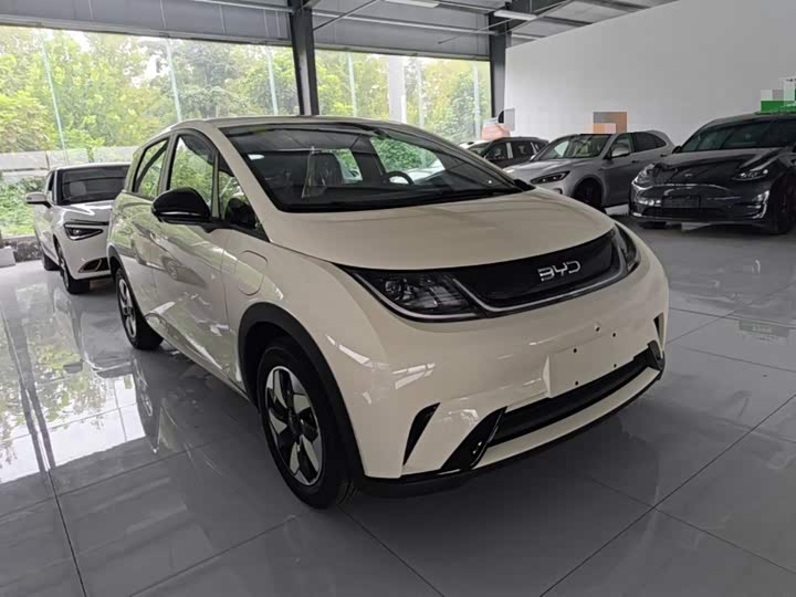 BYD Dolphin, 2026 — фото 4 из 9