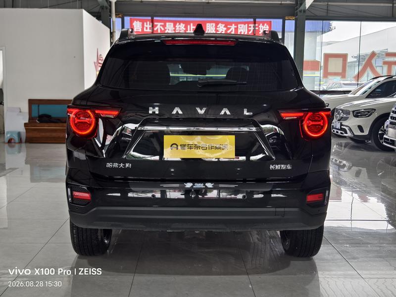 Haval H-Dog, 2024 — фото 5 из 10