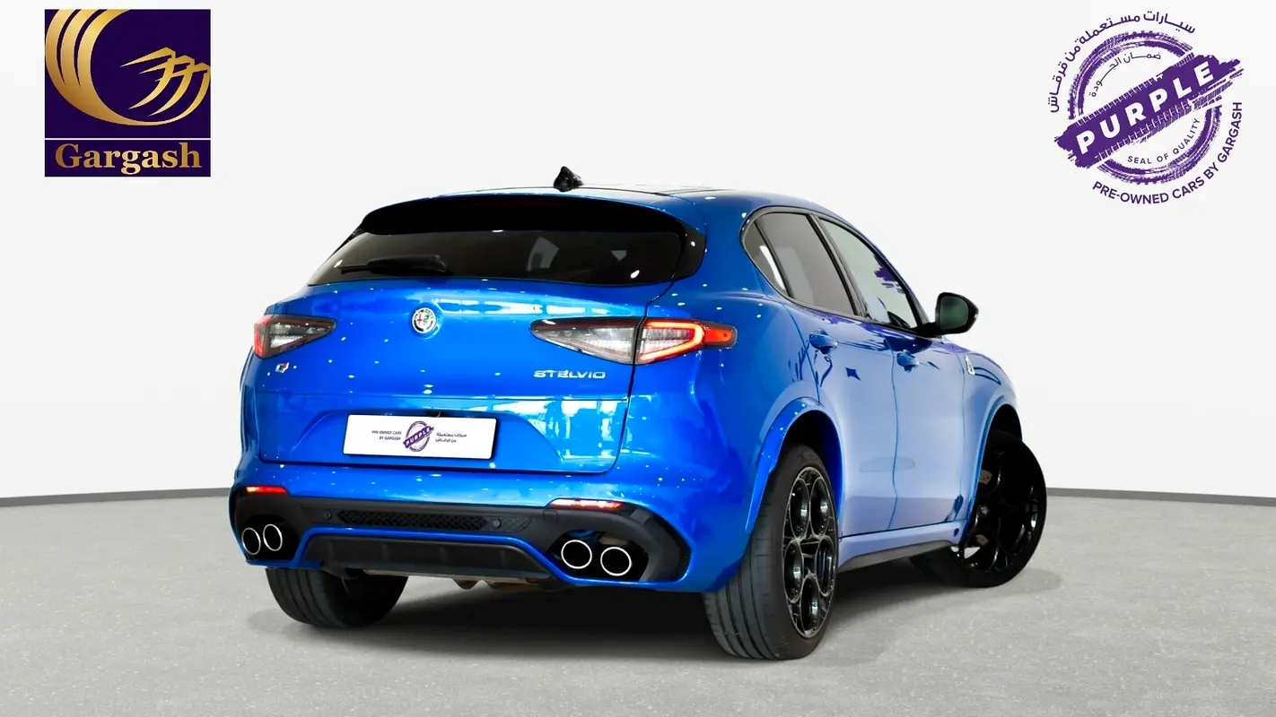 Alfa Romeo Stelvio, 2023 — фото 6 из 10