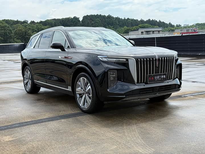 Hongqi E-HS9, 2023 — фото 3 из 9