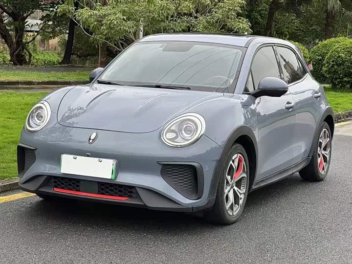 Ora Good Cat GT (03 GT), 2021 — купить в Санкт-Петербурге под ключ