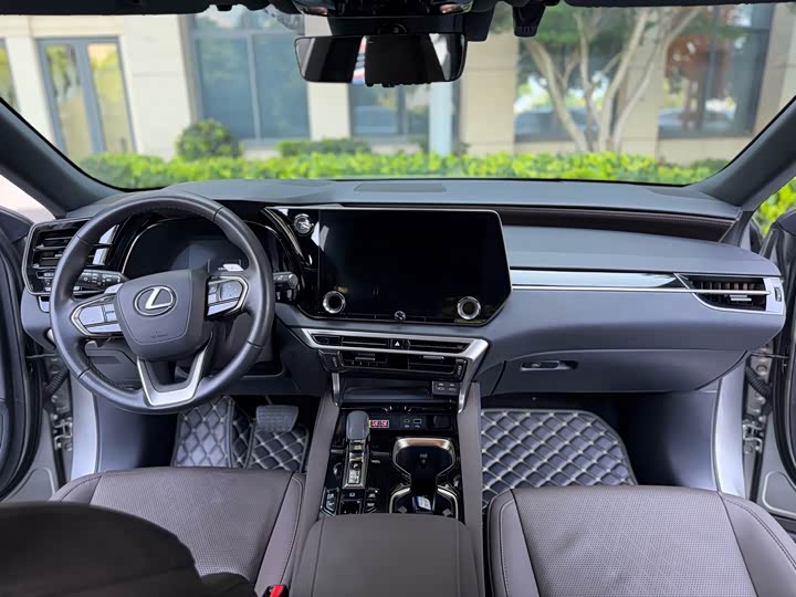 Lexus RX Hybrid, 2023 — фото 5 из 9
