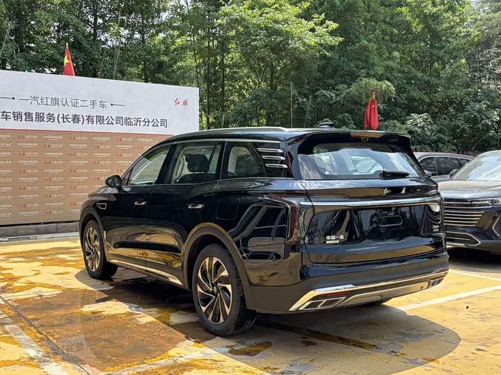 Hongqi HS7 Hybrid, 2024 — фото 5 из 9