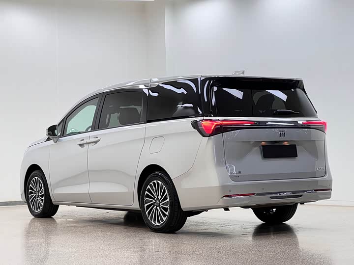 Buick GL8 Hybrid, 2025 — фото 5 из 9